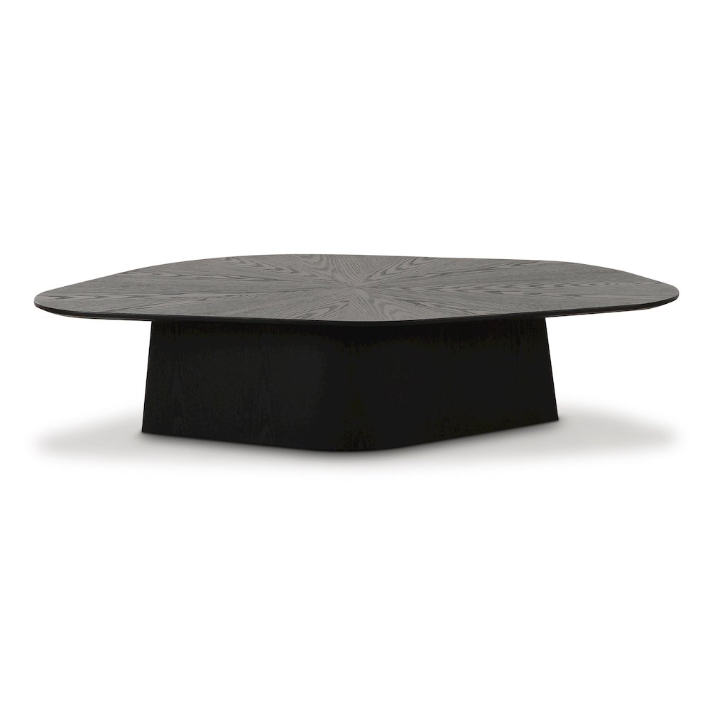 Roche Black Ash Low Coffee Table. Picture 3