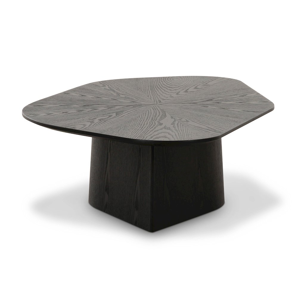 Roche Black Ash Low Coffee Table. Picture 4