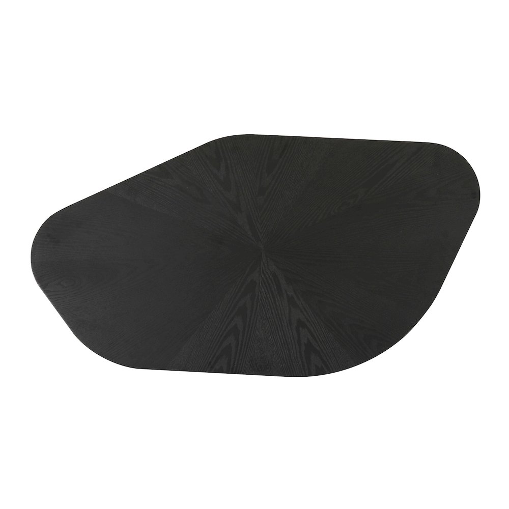 Roche Black Ash Low Coffee Table. Picture 5