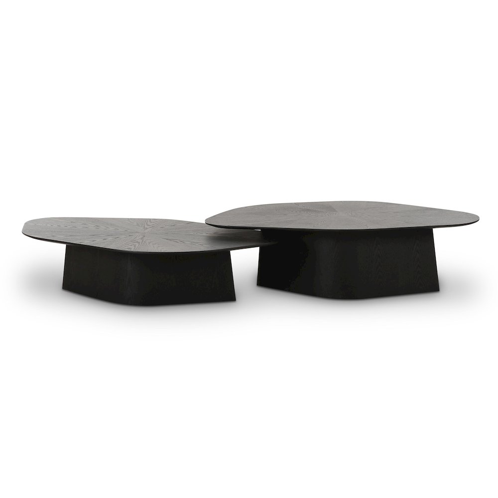 Roche Black Ash Nesting Coffee Table Set. Picture 1