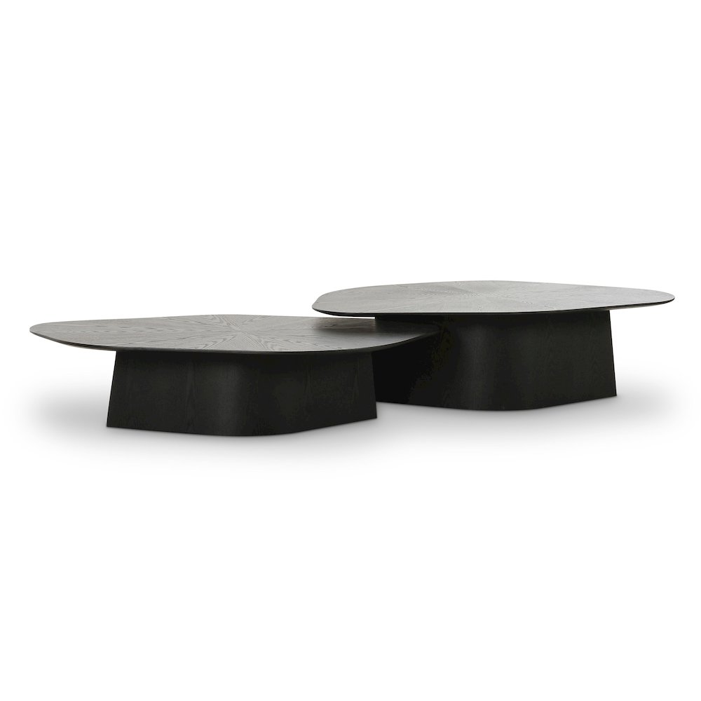 Roche Black Ash Nesting Coffee Table Set. Picture 3