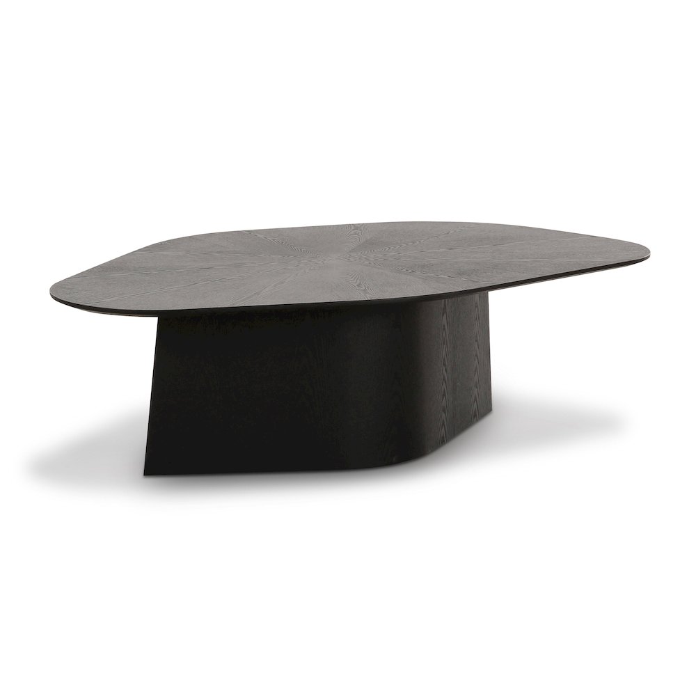 Roche Black Ash Geometric Coffee Table. Picture 1