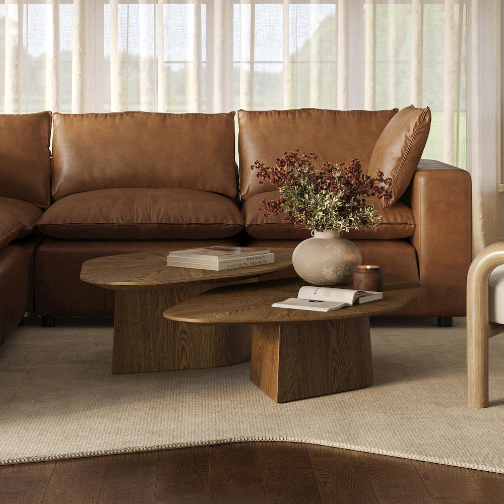 Roche Brown Ash Low Coffee Table. Picture 2