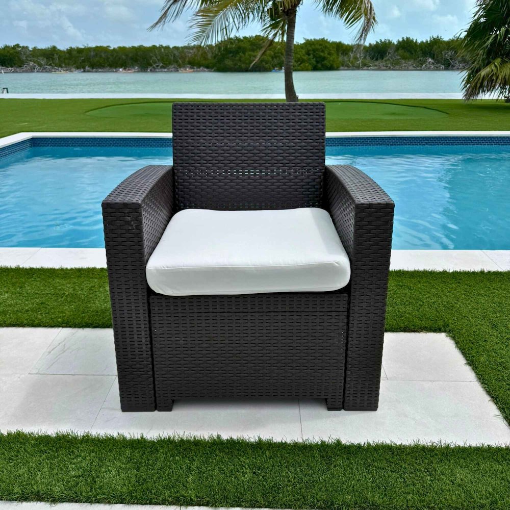 Plastique Lounge Chair. Picture 2