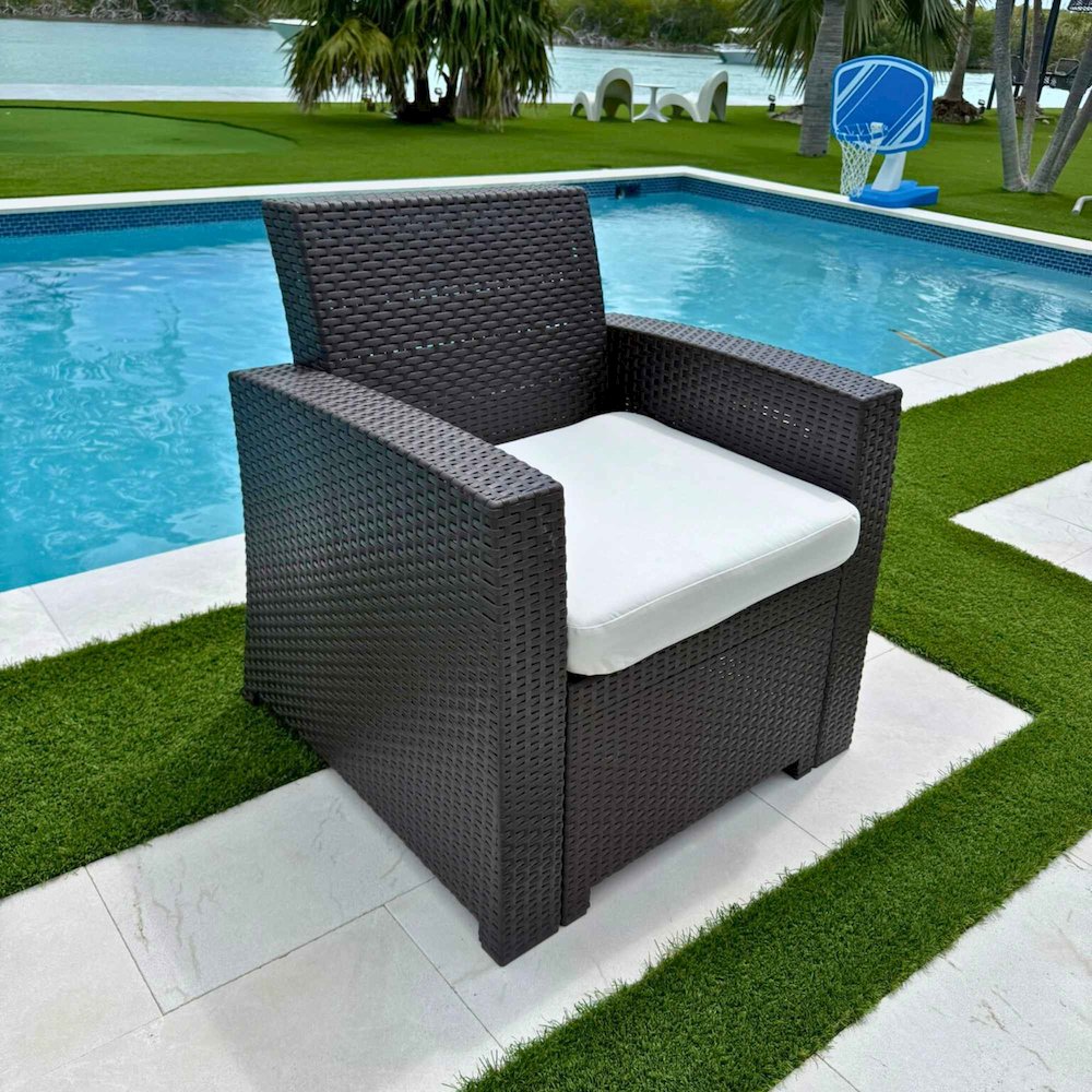 Plastique Lounge Chair. Picture 3