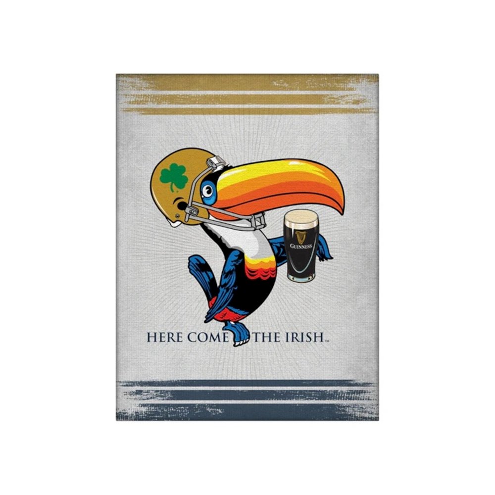 Notre Dame Guinness Beer Toucan Wall Decor Canvas 15"x20". Picture 1