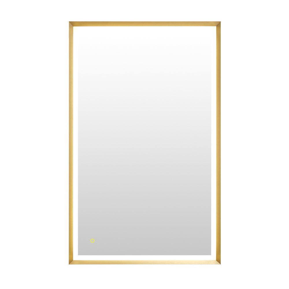 48"x30" Rectangular Wall Mirror in Brushed Gold Aluminum Framed. Picture 1