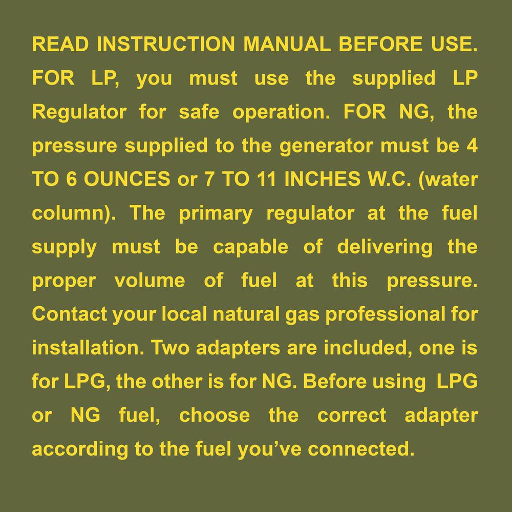 4000 Surge Watts Portable Tri Fuel Generator. Picture 10