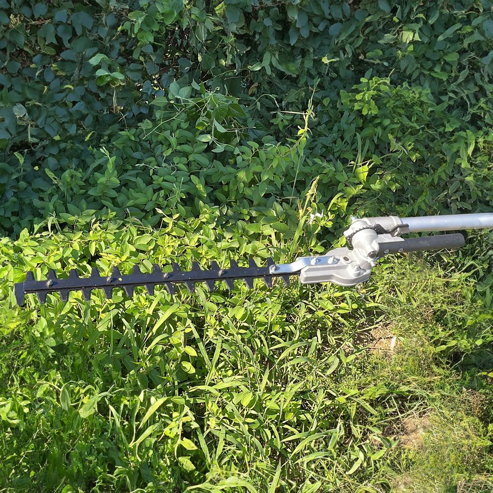 Gas Pole Saw With Hedge Trimmer. Picture 6