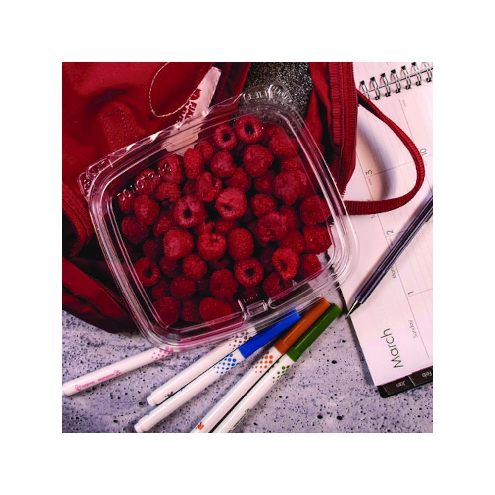 ClearPac SafeSeal rPET Tamper-Resistant Container, ProPlanet Seal, Flat Lid, 24 oz, Clear, 100/Bag, 2 Bags/Carton. Picture 5