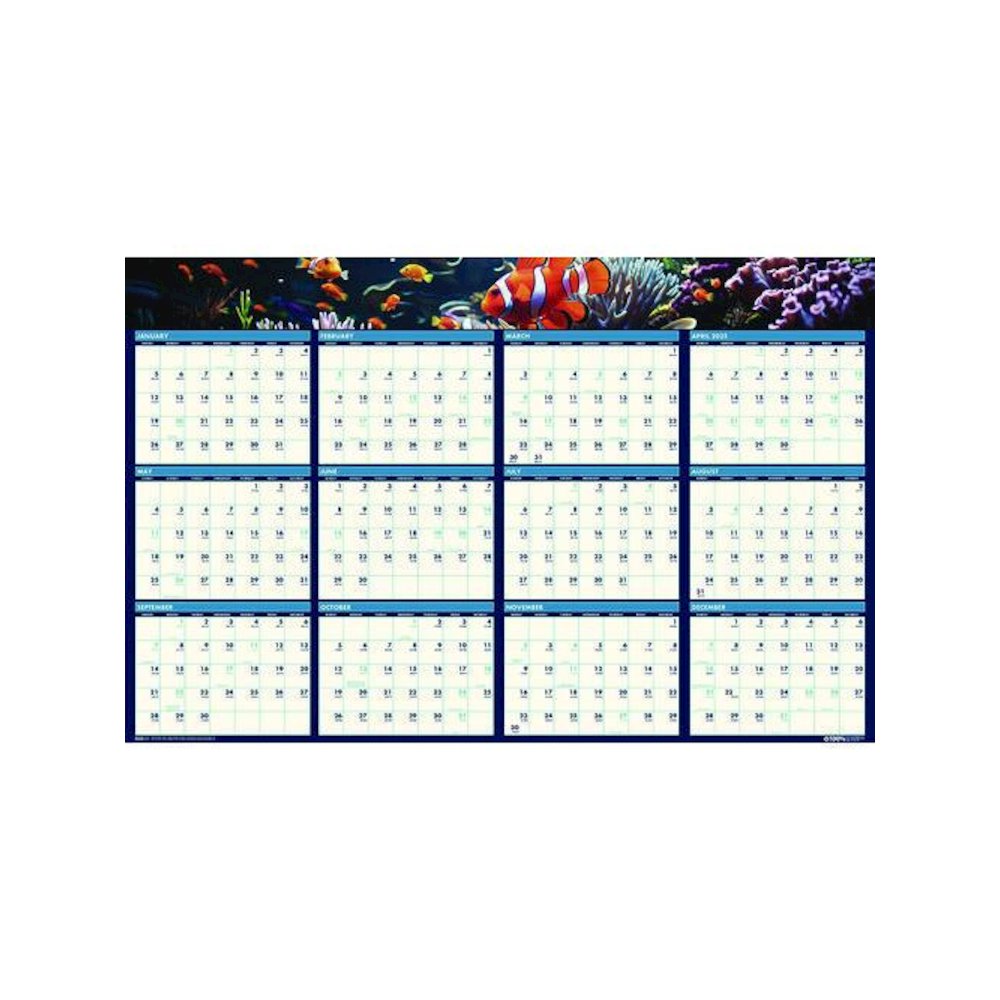 Earthscapes Recycled Reversible/Erasable Yearly Wall Calendar, Sea Life Photos, 24 x 37, White Sheets, 12-Month(Jan-Dec):2026. Picture 3