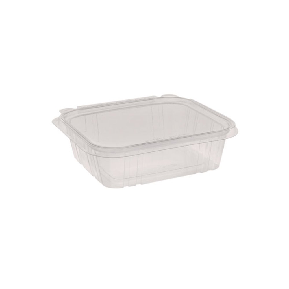 EarthChoice Tamper Evident Recycled Hinged Lid Deli Container, 24 oz, 7.25 x 6.37 x 2, Clear, Plastic, 231/Carton. Picture 2