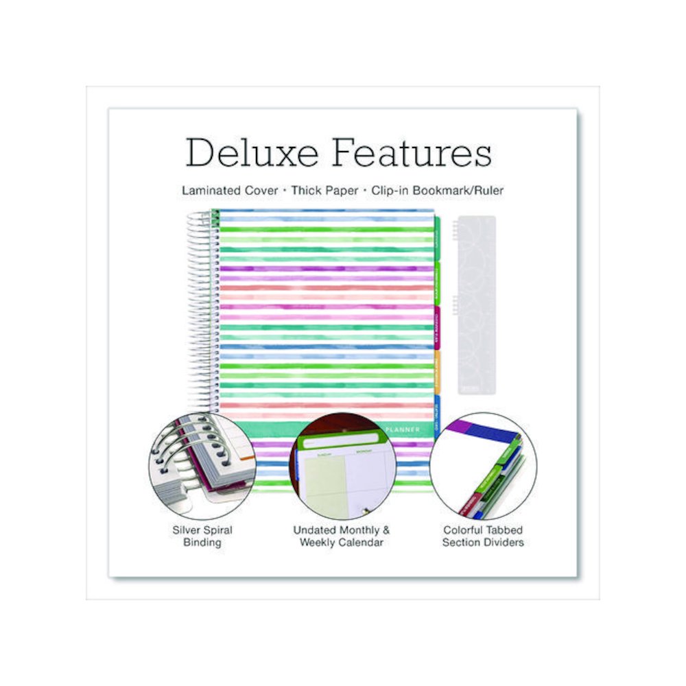 Deluxe Teacher's Academic Weekly/Monthly Planner, 7 Classes, Rainbow Artwork, Multicolor Cover, 11 x 8.5 Sheets, 52-Week Span. Picture 2