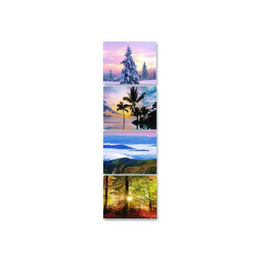 Recycled Three-Month Season Wall Calendar, 12 x 16.5, Multicolored Sheets, 14-Month: Dec 2025 to Jan 2027. Picture 3