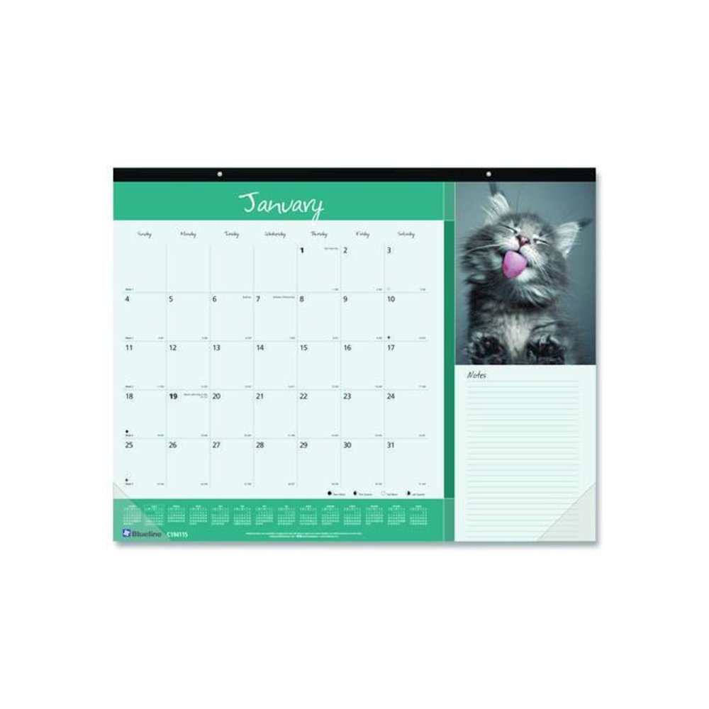 Pets Collection Monthly Desk Pad, Furry Kittens Photography, 22 x 17, White Sheets, Black Binding, 12-Month (Jan-Dec): 2026. Picture 1