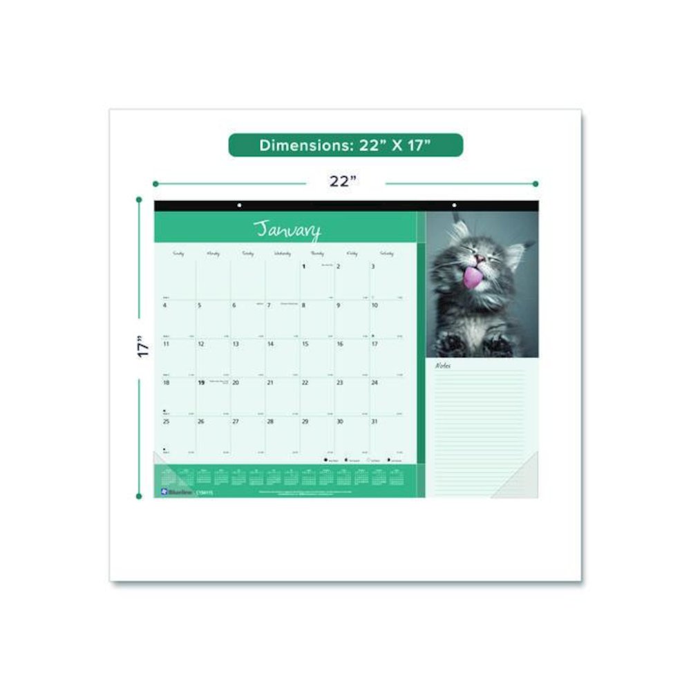 Pets Collection Monthly Desk Pad, Furry Kittens Photography, 22 x 17, White Sheets, Black Binding, 12-Month (Jan-Dec): 2026. Picture 2
