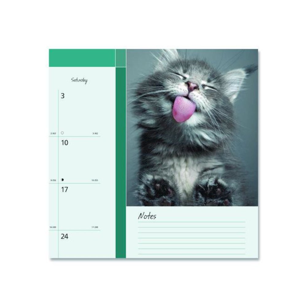 Pets Collection Monthly Desk Pad, Furry Kittens Photography, 22 x 17, White Sheets, Black Binding, 12-Month (Jan-Dec): 2026. Picture 5