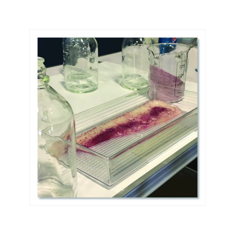 Acid Neutralizer, 2.42 to 12.02 L, 1 gal Bottle. Picture 4