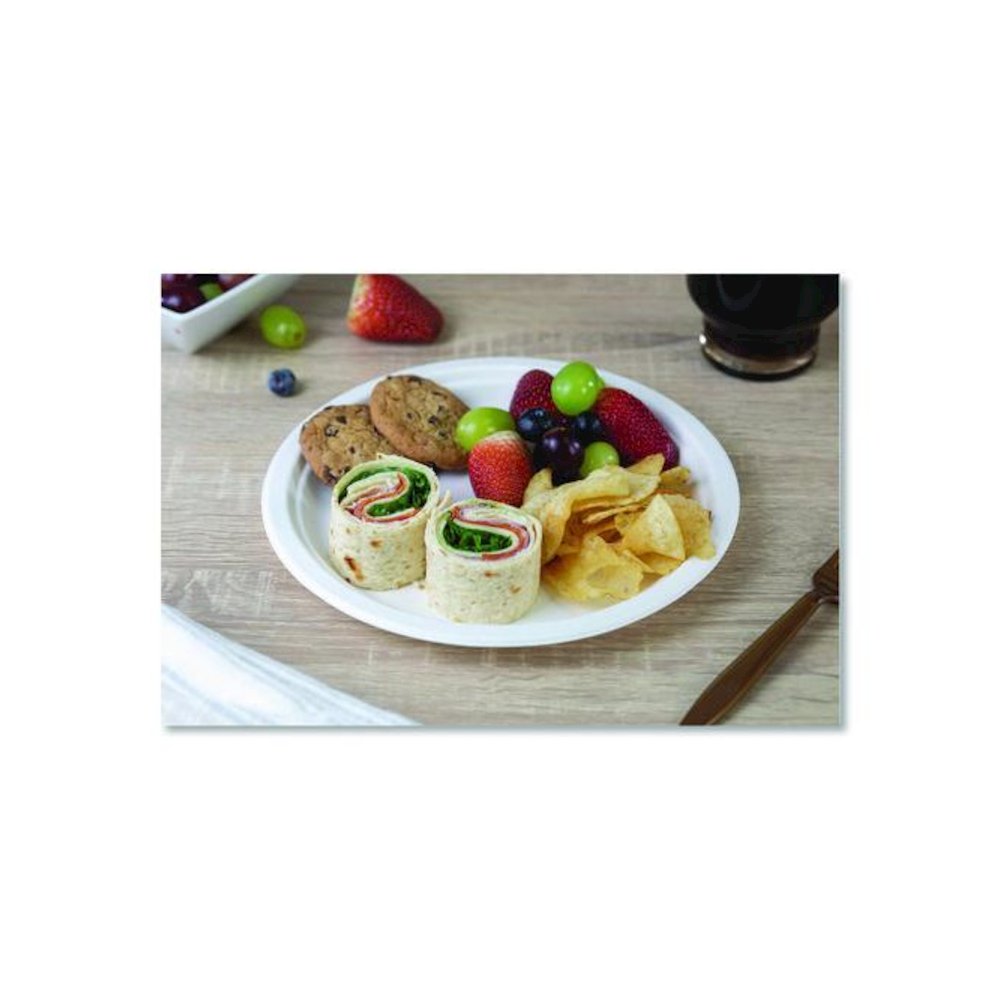 ChampWare Molded Fiber Tableware, Molded Fiber Plate, 9" dia, White, 125 Plates/Sleeve, 4 Sleeves/Carton. Picture 4