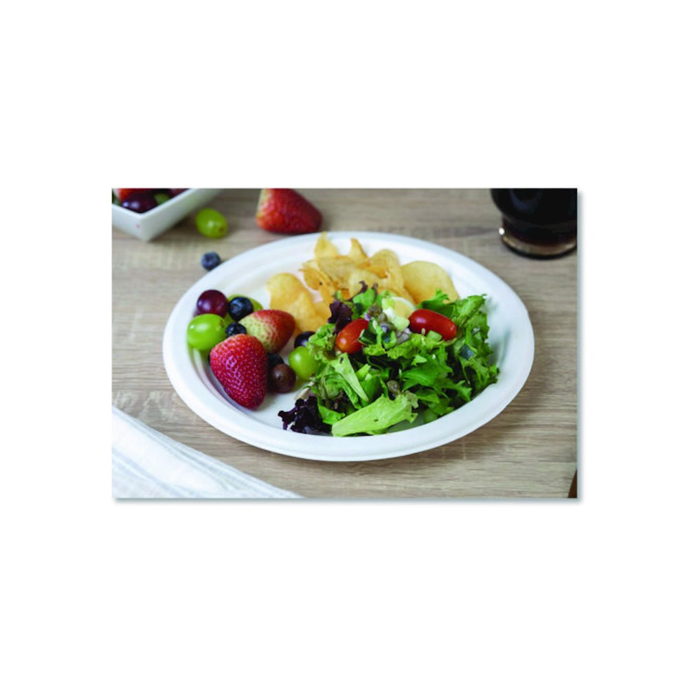 ChampWare Molded Fiber Tableware, Molded Fiber Plate, 10" dia, White, 125 Plates/Sleeve, 4 Sleeves/Carton. Picture 5