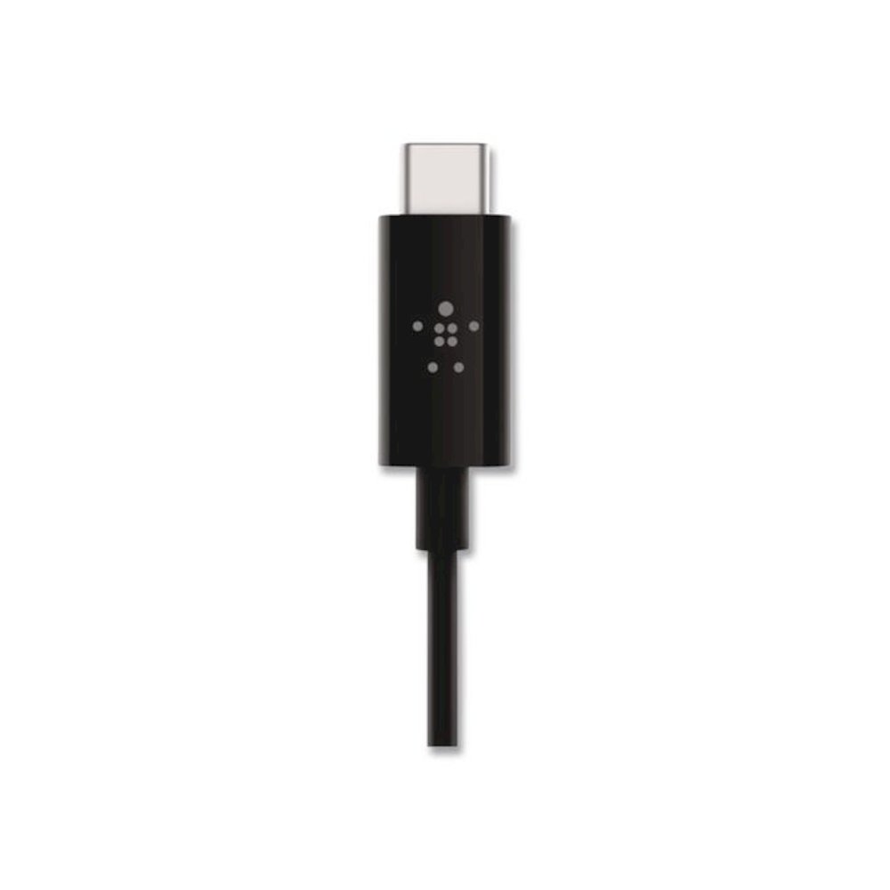 RockStar 3.5mm Audio Cable with USB-C Connector, 3 ft, Black. Picture 3