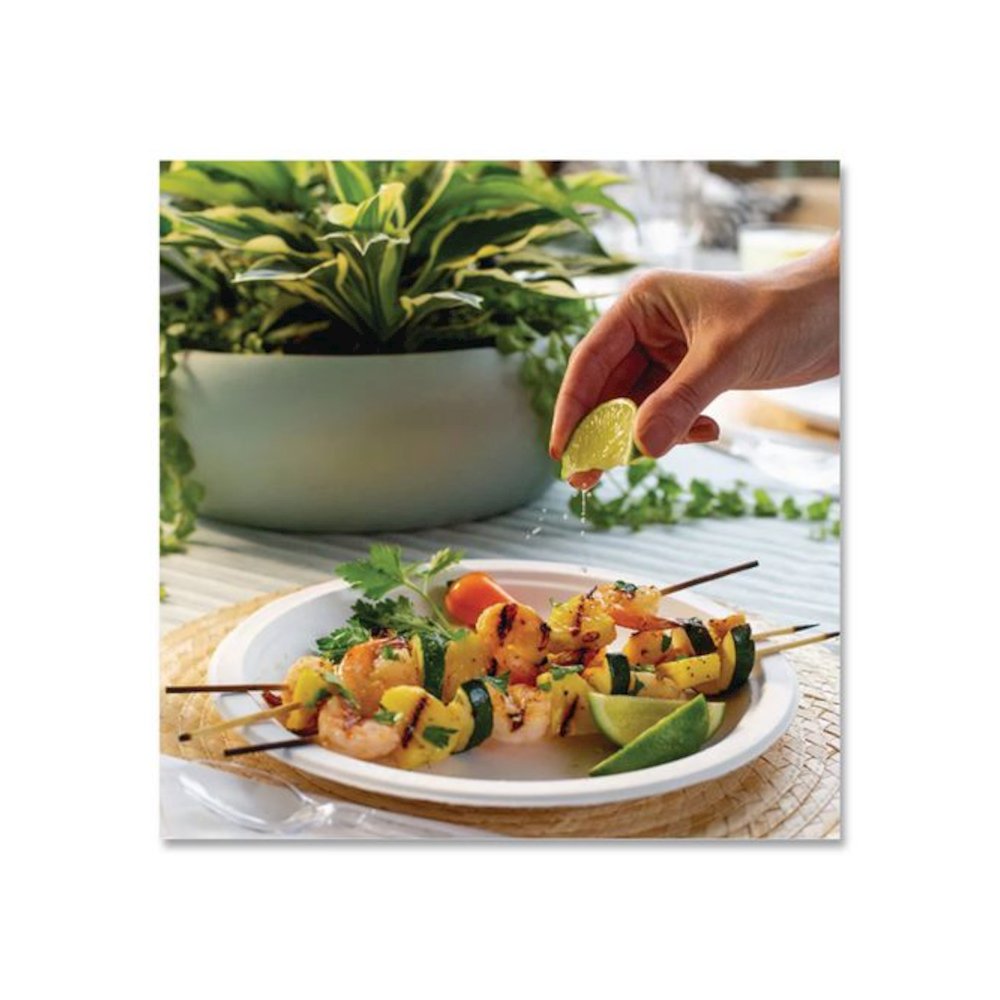 Paper Dinnerware, Plate, 8.75" dia, White, 500/Carton. Picture 7