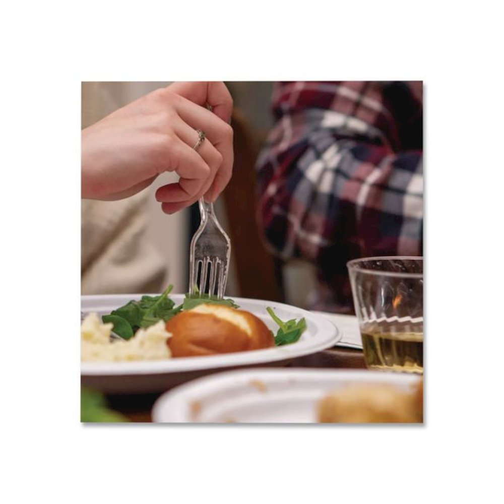 Paper Dinnerware, Plate, 8.75" dia, White, 500/Carton. Picture 5