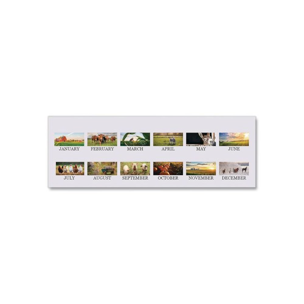 100% Recycled Farm Life Wall Calendar, 11 x 14, White/Multicolor Sheets, 12-Month (Jan-Dec): 2026. Picture 3