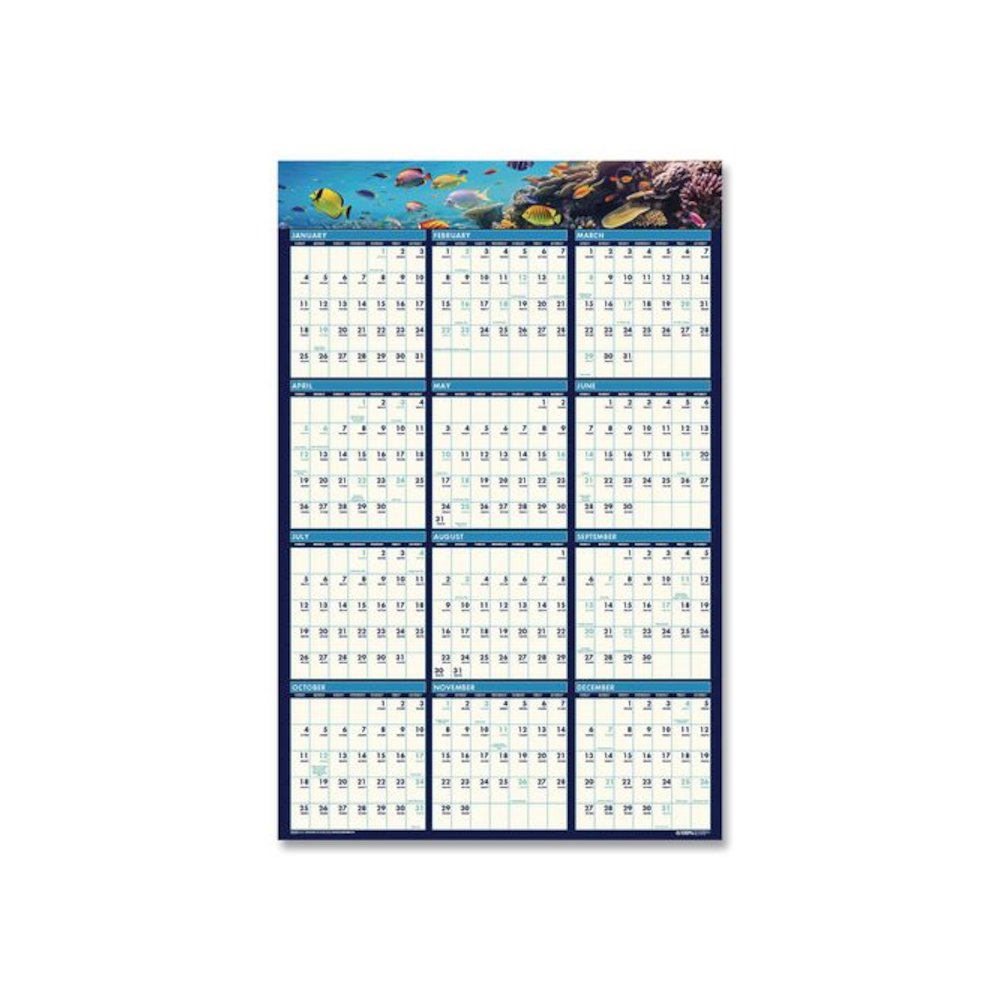 Earthscapes Recycled Reversible/Erasable Yearly Wall Calendar, Sea Life Photos, 24 x 37, White Sheets, 12-Month(Jan-Dec):2026. Picture 2