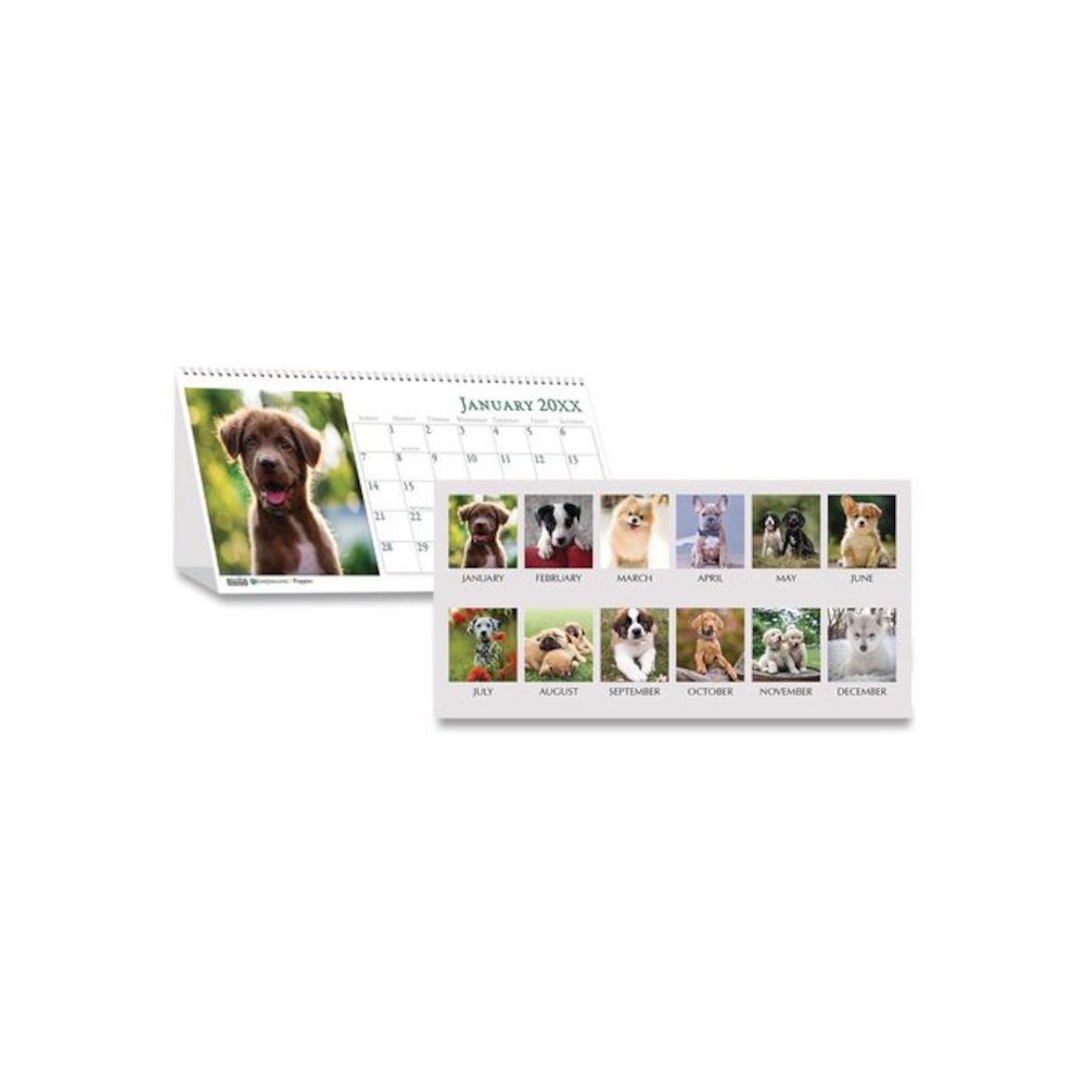 Earthscapes Recycled Desk Tent Monthly Calendar, Puppies Photography, 8.5 x 4.5, White Sheets, 12-Month (Jan to Dec): 2026. Picture 1
