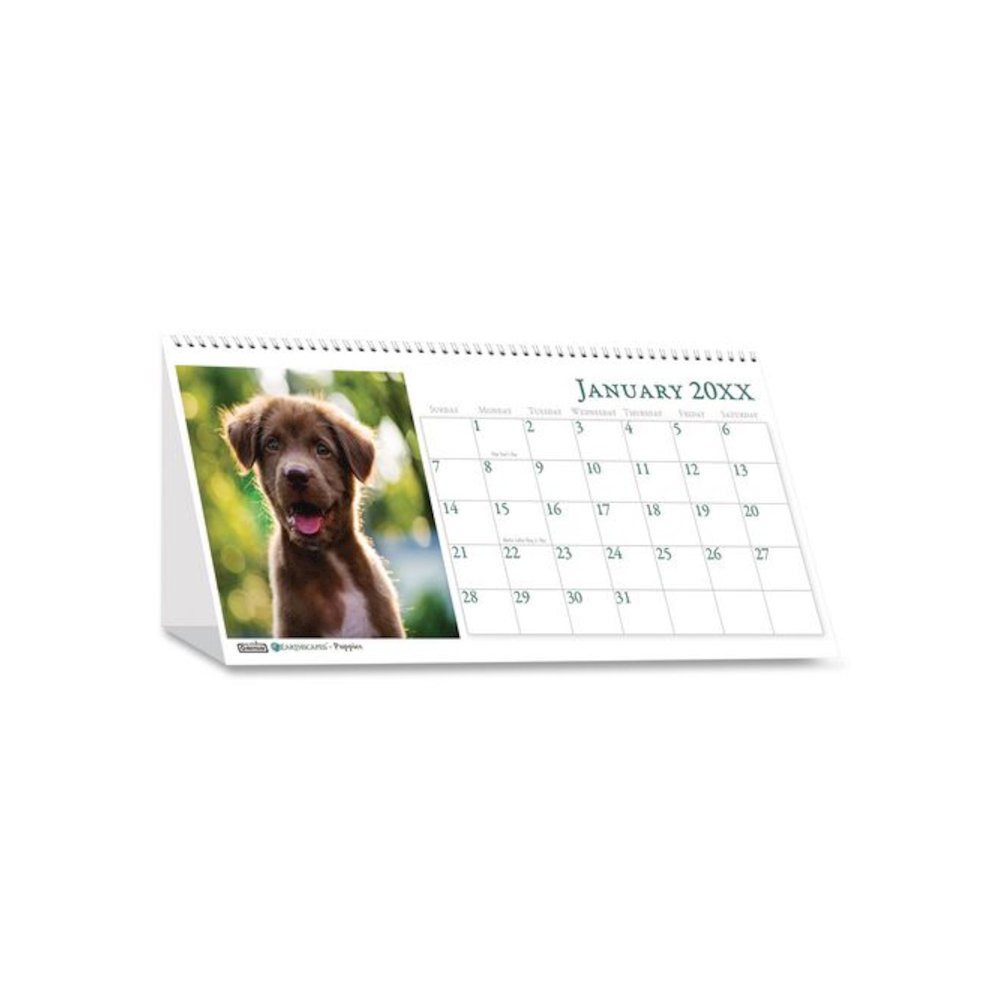 Earthscapes Recycled Desk Tent Monthly Calendar, Puppies Photography, 8.5 x 4.5, White Sheets, 12-Month (Jan to Dec): 2026. Picture 2