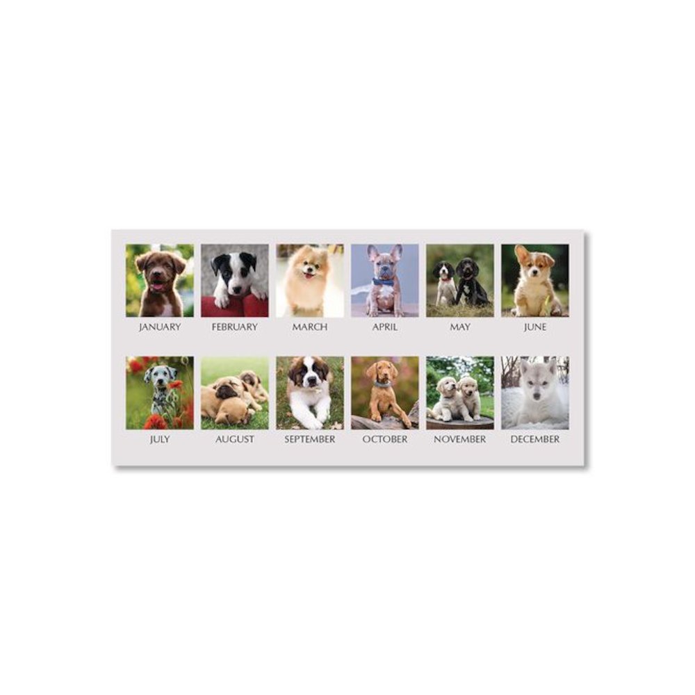 Earthscapes Recycled Desk Tent Monthly Calendar, Puppies Photography, 8.5 x 4.5, White Sheets, 12-Month (Jan to Dec): 2026. Picture 3