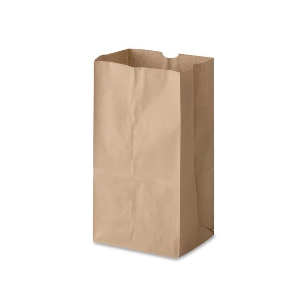Grocery Paper Bags, 20# Size, Extra-Heavy-Duty, 60# Basis Weight, 8.25" x 5.25" x 16.13", Kraft, 500/Bundle. Picture 4