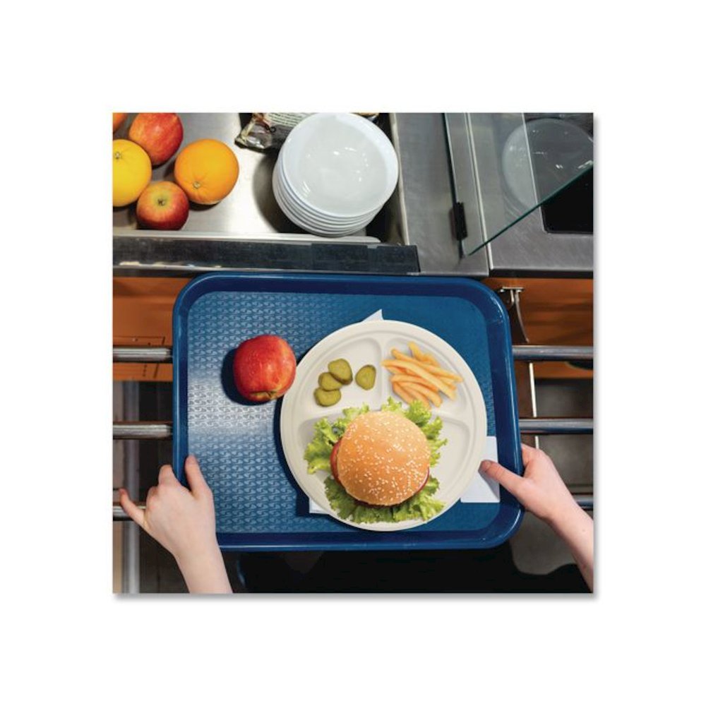 Compostable Molded Fiber Dinnerware, ProPlanet Seal, 3-Compartment Plate, 10.2" dia, Natural, 500/Carton. Picture 6