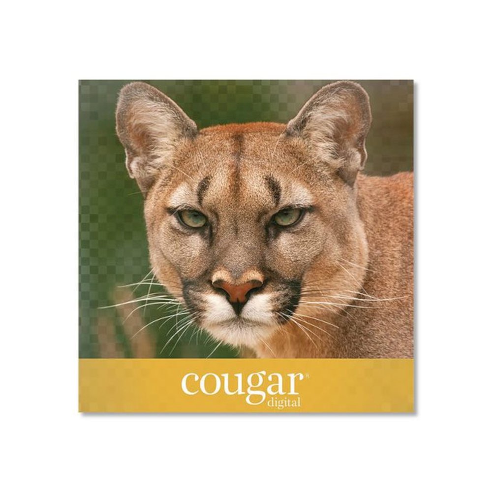 Cougar Digital Business Paper, 98 Bright, 70 lb Text Weight, 8.5 x 11, White, 500/Ream, 8 Reams/Carton. Picture 4