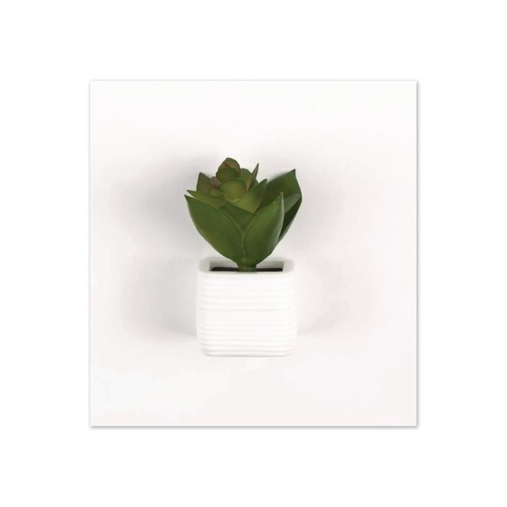 Mini Succulent Fashion Magnet Set, Assorted Colors/3 Designs, 12/Pack. Picture 3