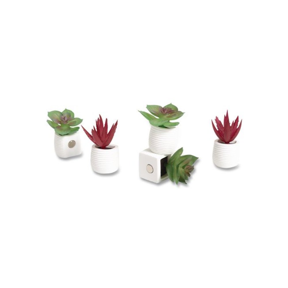 Mini Succulent Fashion Magnet Set, Assorted Colors/3 Designs, 12/Pack. Picture 1