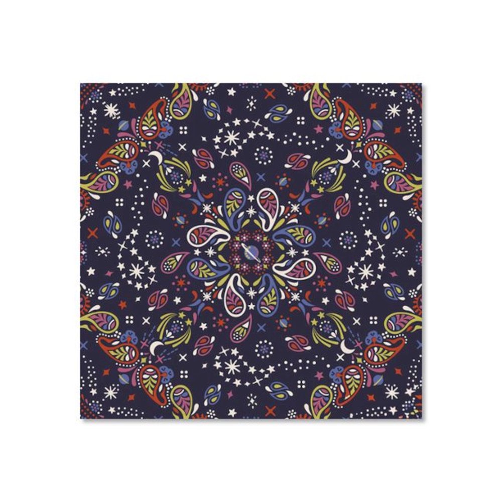Cord Organizer, 8.5 x 2 x 6.5, Starry Paisley. Picture 4