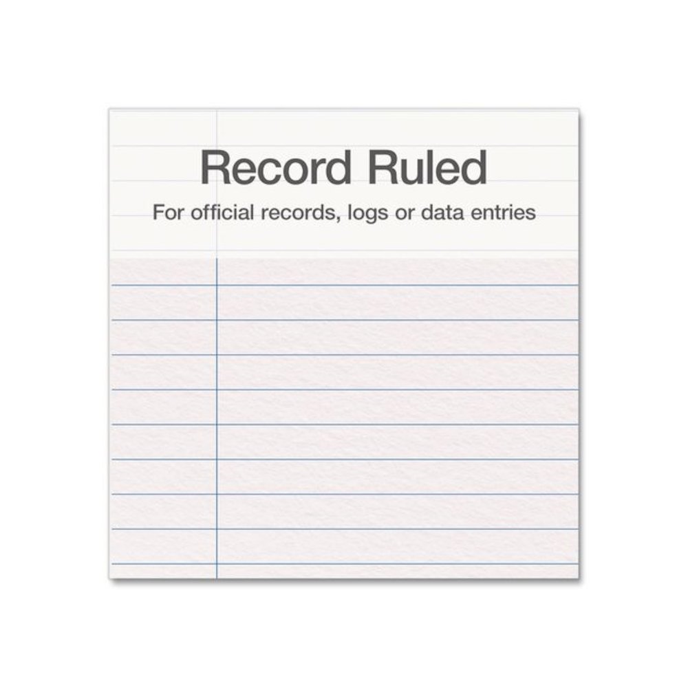 Record Ledger Book, Record-Style Rule, Blue Cover, 12.12 x 7.62 Sheets, 300 Sheets/Book. Picture 2