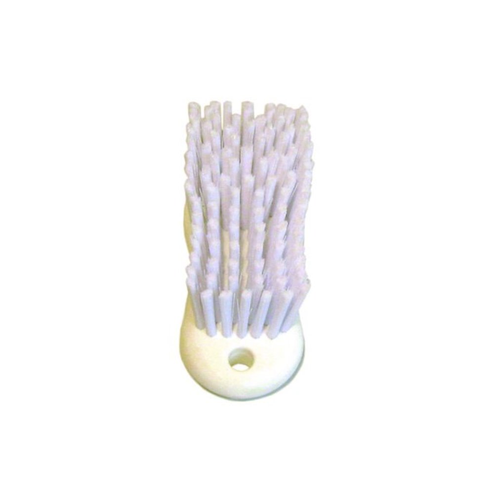 Scrub Brush, White Polypropylene Bristles, 6" Brush, 6" Handle. Picture 3