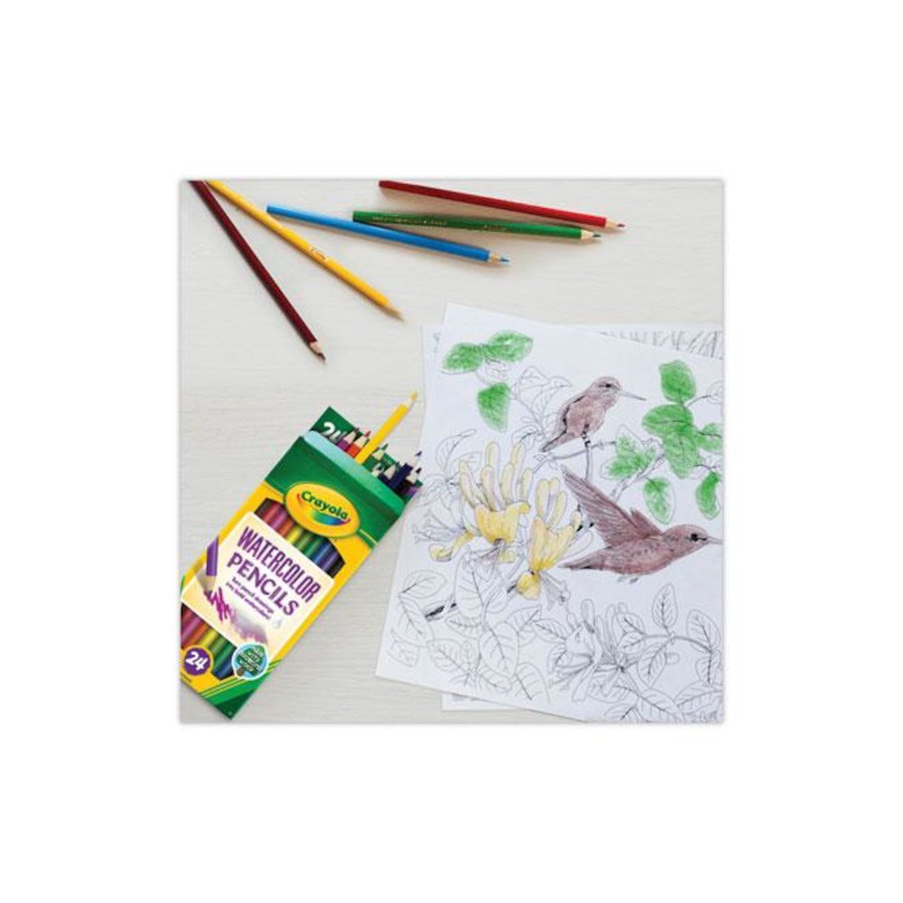 Watercolor Pencil Set, 3.3 mm, 2B, Assorted Lead and Barrel Colors, 24/Pack. Picture 3