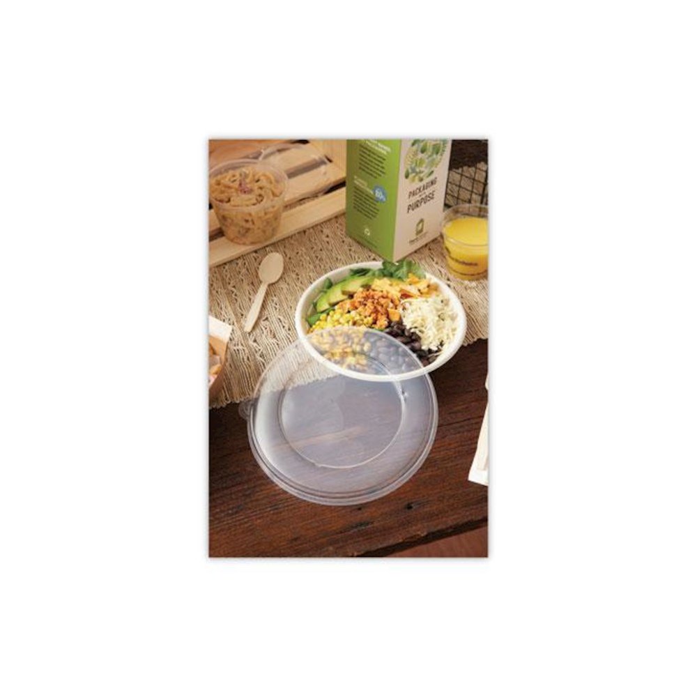 EarthChoice PSM Cutlery, Heavyweight Spoon, Plastic, Tan, 1,000/Carton. Picture 8