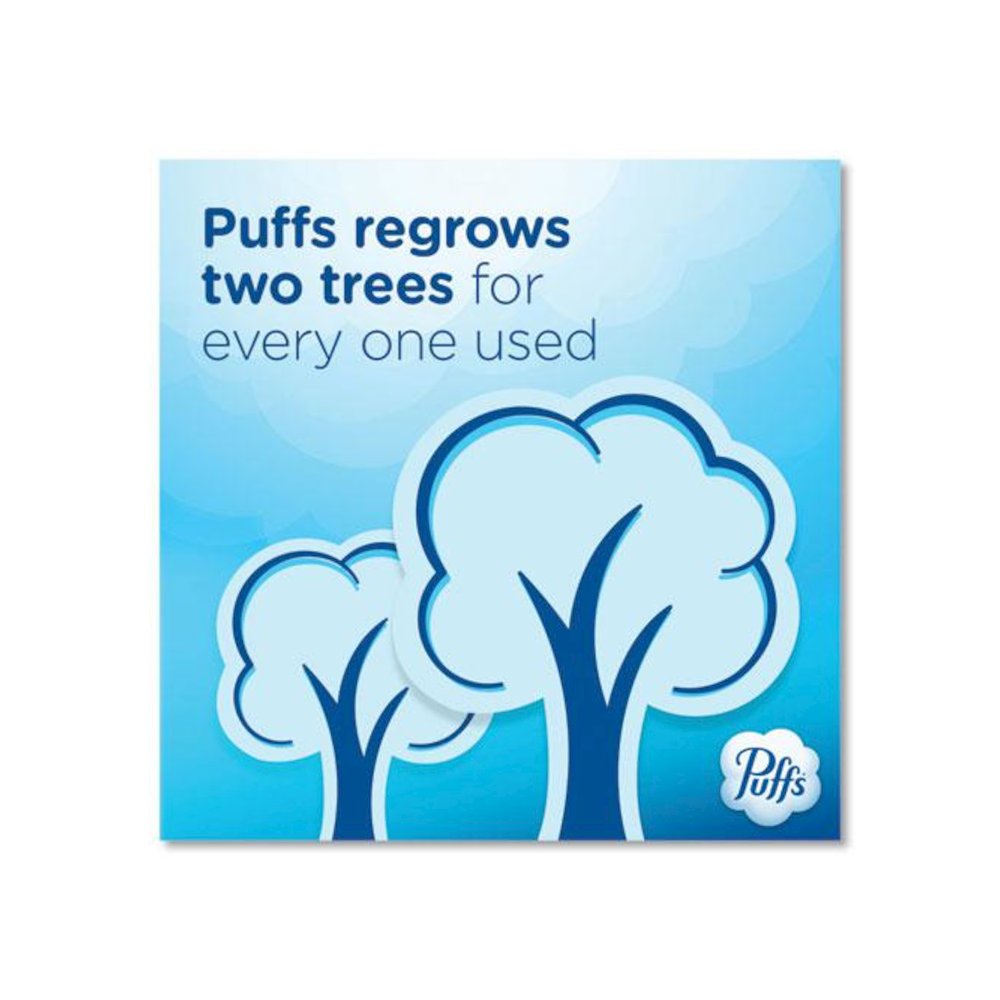 Ultra Soft Facial Tissue, 2-Ply, White, 124 Sheets/Box, 6 Boxes/Pack, 4 Packs/Carton. Picture 4