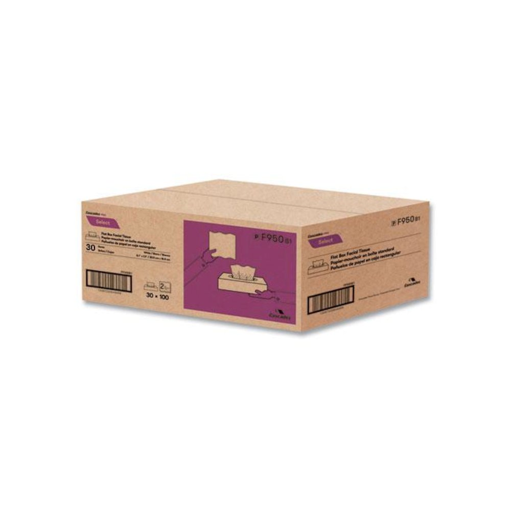 Select Flat Box Facial Tissue, 2-Ply, White, 100 Sheets/Box, 30 Boxes/Carton. Picture 3