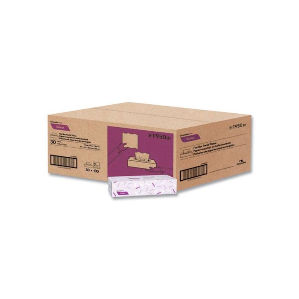 Select Flat Box Facial Tissue, 2-Ply, White, 100 Sheets/Box, 30 Boxes/Carton. Picture 4