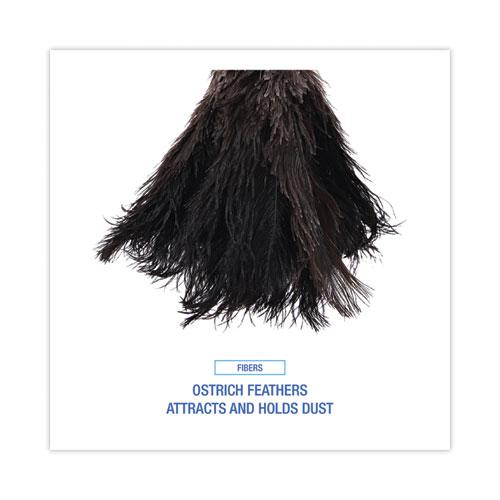 Professional Ostrich Feather Duster, 10" Wood Handle. Picture 4