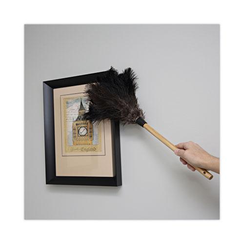 Professional Ostrich Feather Duster, 10" Wood Handle. Picture 5