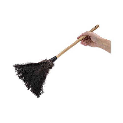 Professional Ostrich Feather Duster, 10" Wood Handle. Picture 6