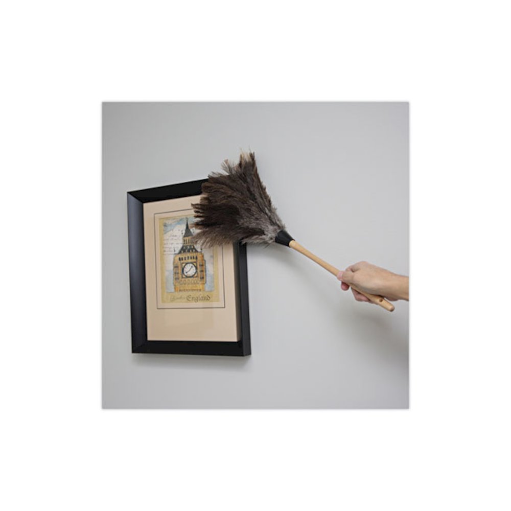 Professional Ostrich Feather Duster, 13" Wood Handle. Picture 5