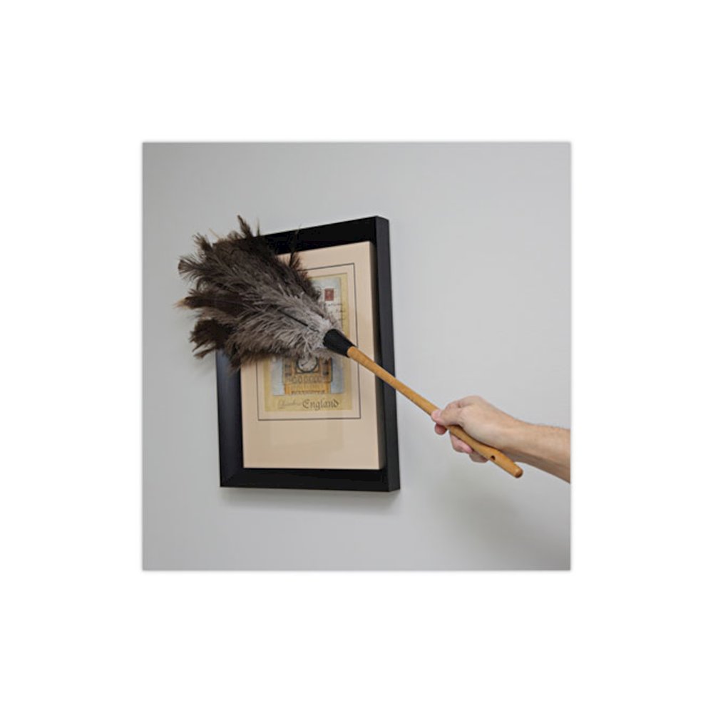 Professional Ostrich Feather Duster, 16" Wood Handle, 12" Gray Bristle. Picture 5